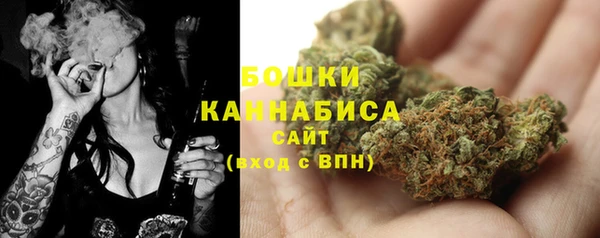 крисы Медногорск