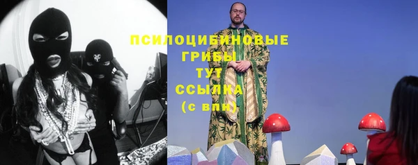 ПСИЛОЦИБИНОВЫЕ ГРИБЫ Нязепетровск
