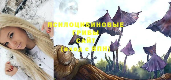 apvp Абинск