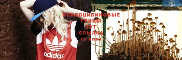 МДПВ Абдулино