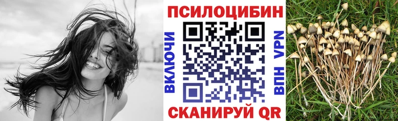Галлюциногенные грибы ЛСД  Тихорецк 